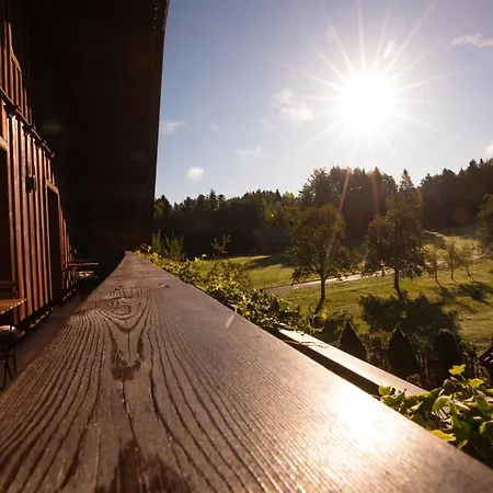 Hinterwald - Auszeit Im Gruenen Διαμέρισμα Innerschwand