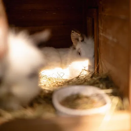 Hinterwald - Auszeit Im Gruenen *