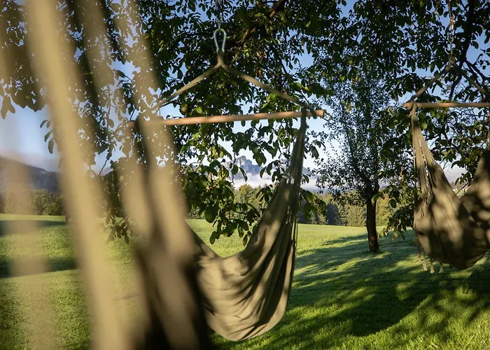Hinterwald - Auszeit Im Gruenen Daire