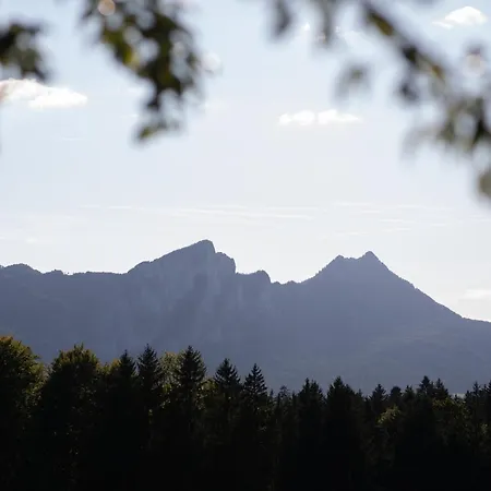 Hinterwald - Auszeit Im Gruenen Апартаменты *