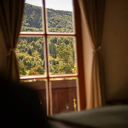 Hinterwald - Auszeit Im Gruenen Apartman *