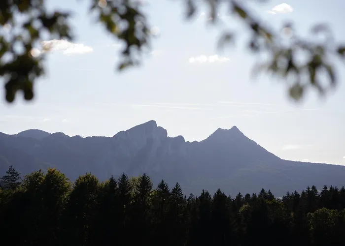 Hinterwald - Auszeit Im Gruenen Διαμέρισμα *