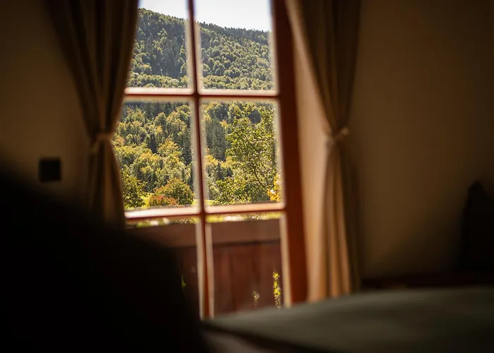 Hinterwald - Auszeit Im Gruenen Апартаменты *