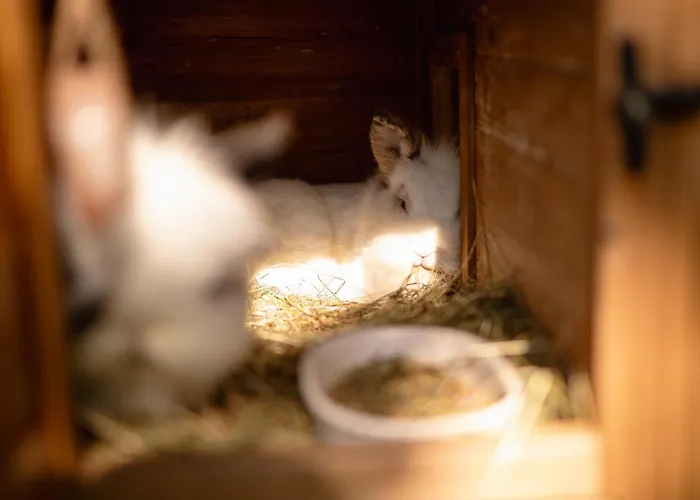 Hinterwald - Auszeit Im Gruenen *